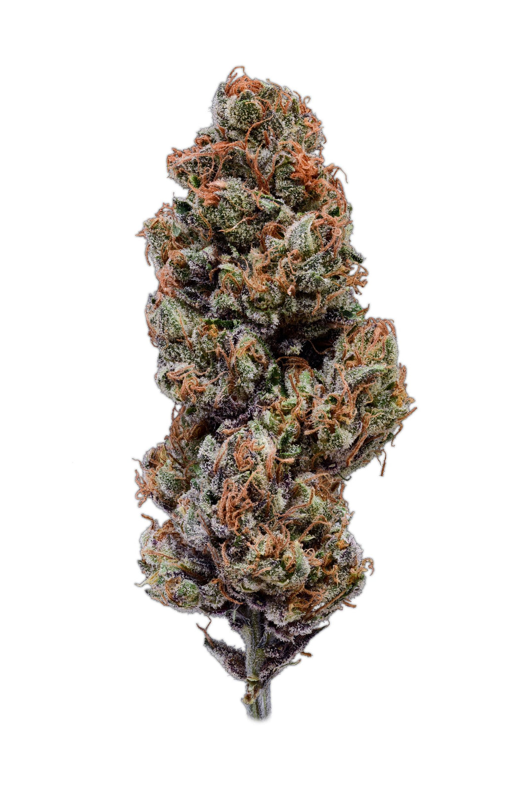 Suver Haze